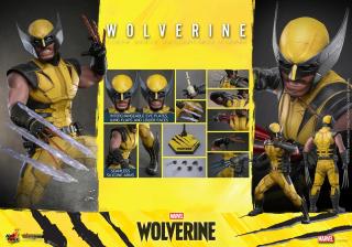 Wolverine 1/6 Scale Figure