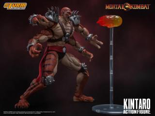 Kintaro 1:12 Scale Action Figure