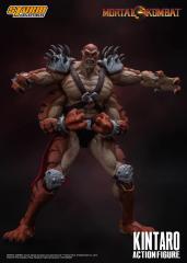 Kintaro 1:12 Scale Action Figure