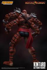 Kintaro 1:12 Scale Action Figure