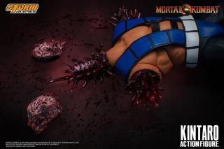 Kintaro 1:12 Scale Action Figure