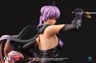 Ayane 1:6 Statue