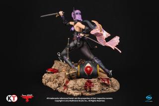 Ayane 1:6 Statue