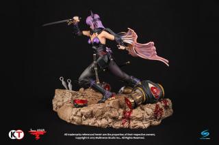 Ayane 1:6 Statue