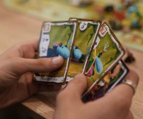 Rayman: The Board Game