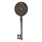 Insignia Key Replica