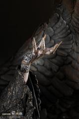 Mother Miranda 1/4 Scale Statue (exclusive)