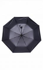 Corporation Umbrella