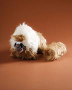 Megasloth Plush & Wool