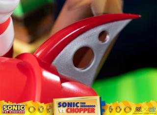 Sonic VS Chopper Diorama