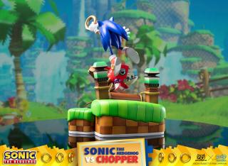 Sonic VS Chopper Diorama