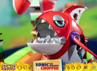 Sonic VS Chopper Diorama