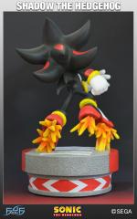 Shadow the Hedgehog