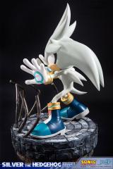 Silver the Hedgehog (exclusive)