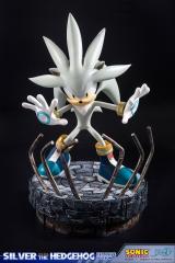 Silver the Hedgehog (exclusive)