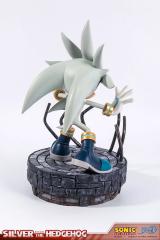 Silver the Hedgehog