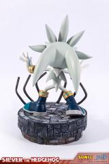 Silver the Hedgehog
