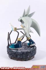 Silver the Hedgehog