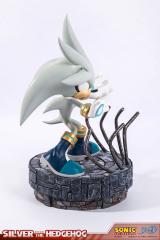 Silver the Hedgehog