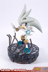 Silver the Hedgehog