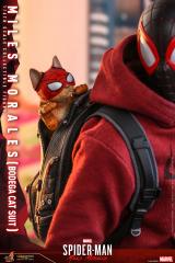 Miles Morales 1/6 Scale Figure (Bodega Cat Suit)