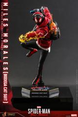 Miles Morales 1/6 Scale Figure (Bodega Cat Suit)