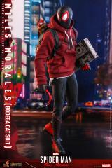 Miles Morales 1/6 Scale Figure (Bodega Cat Suit)
