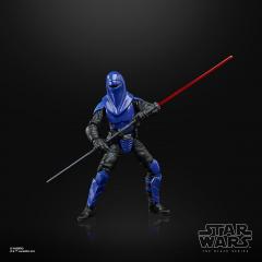Imperial Senate Guard 6" Figure