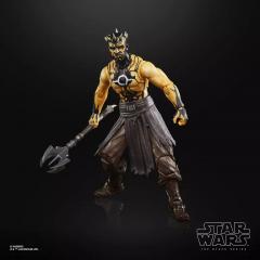 Nightbrother Warrior 6" Figure (exclusive)