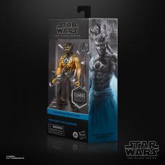Nightbrother Warrior 6" Figure (exclusive)