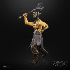 Nightbrother Warrior 6" Figure (exclusive)