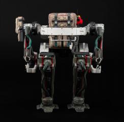 Vasco 1/6 Scale Figure