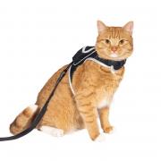 Stray x Travel Cat Harness & Leash Set