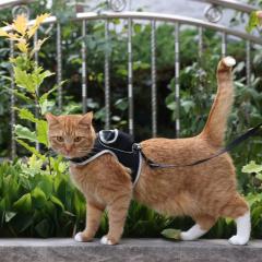 Stray x Travel Cat Harness & Leash Set