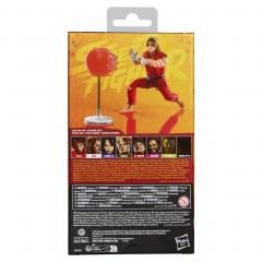 Ken 6" Figure (movie ver)