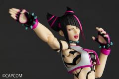 Amazing Yamaguchi Revoltech Juri 6" Figure