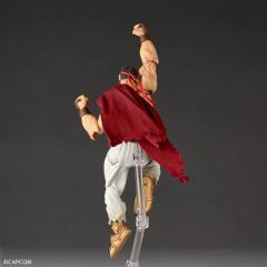 Amazing Yamaguchi Revoltech Ryu 6" Figure