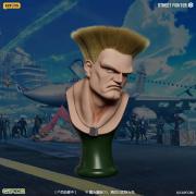 Guile Soft Dusting Brush