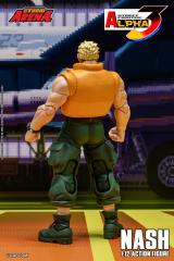 Nash 1:12 Scale Figure (Storm Arena)