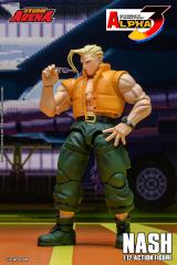 Nash 1:12 Scale Figure (Storm Arena)