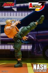 Nash 1:12 Scale Figure (Storm Arena)