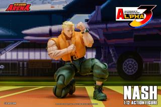 Nash 1:12 Scale Figure (Storm Arena)