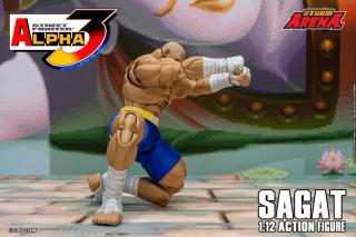 Sagat 1:12 Scale Figure (Storm Arena)
