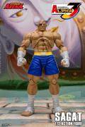 Sagat 1:12 Scale Figure (Storm Arena)