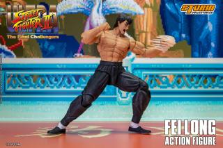 Fei Long 1:12 Scale Action Figure