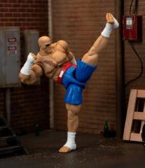Sagat 6" Figure