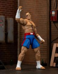 Sagat 6" Figure