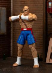 Sagat 6" Figure