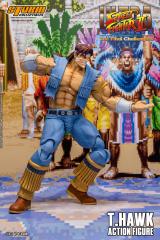 T. Hawk 1:12 Scale Action Figure