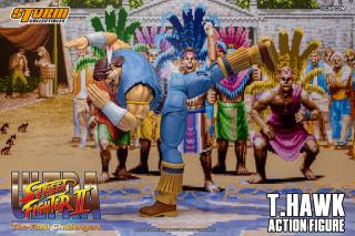 T. Hawk 1:12 Scale Action Figure